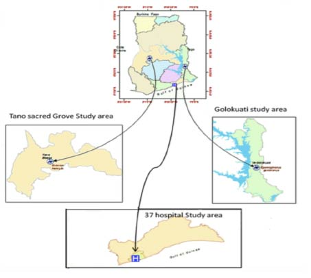 Map of study site in Ghana