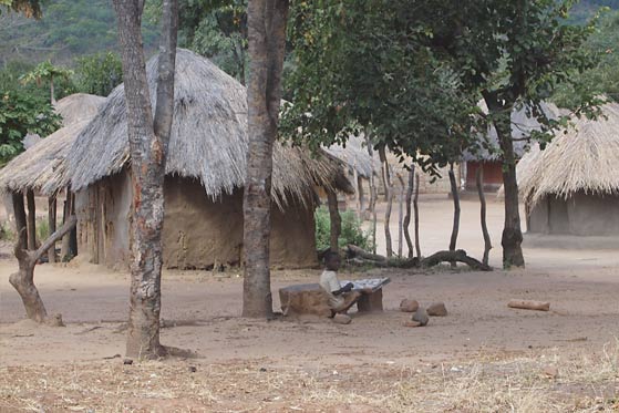 Zambian village - Photo: Susan Welburn